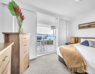 frangipani-202-42-1024-768-80