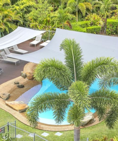 frangipani-202-8-1024-768-80